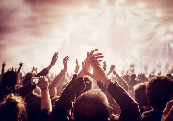 Stor grupp människor njuter av konserten — Stockfoto