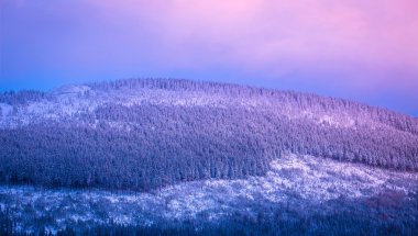 Güzel dağ manzarası
