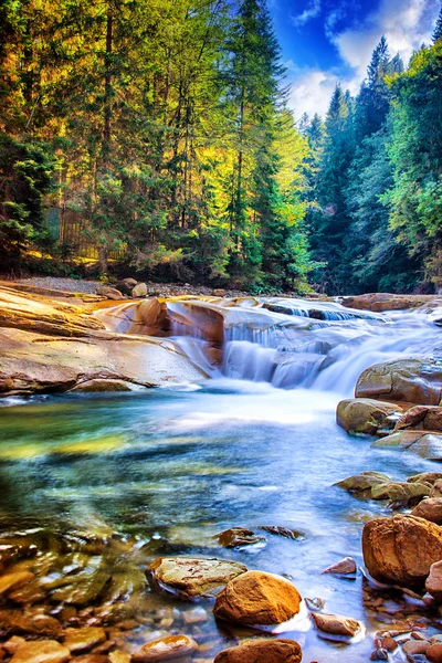 Beautiful waterfall in the forest — Stock Image Beautiful waterfall in the forest Stock Image