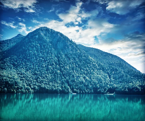 Schöne Landschaft — Stockfoto