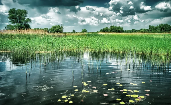 Beautiful pond landscape — Stock Photo, Image