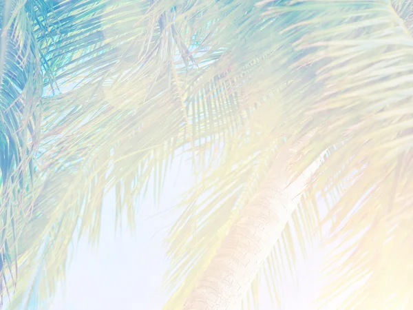 Beautiful tropical background — Stock Photo, Image