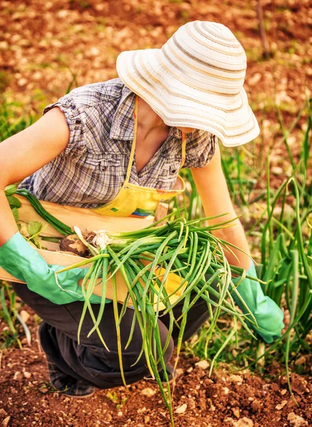 Mujer agricultora en el jardín — Foto de Stock