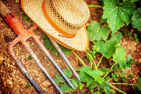 Boer tools in de tuin — Stockfoto