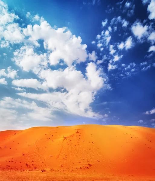 Beautiful desert landscape — Stock Photo, Image