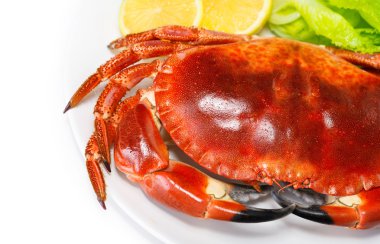 Red tasty boiled crab