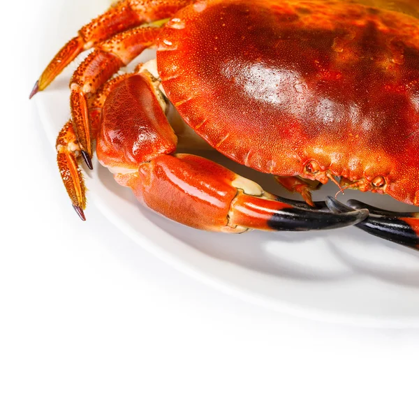 Tasty prepared crab — Stockfoto