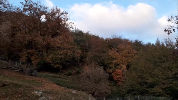 Italy Autumn Mountain Landscape Campania Southern Italy October 2020 — Stock Video