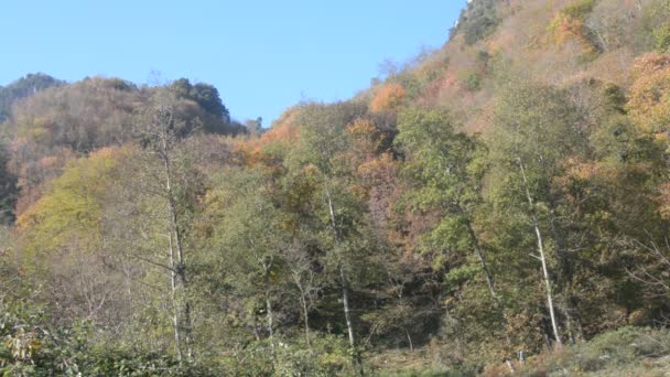 Włochy Jesienny Krajobraz Górski Kampanii Południowe Włochy Listopada 2020 — Wideo stockowe