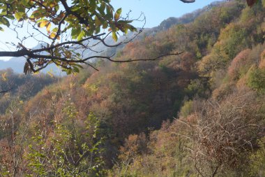 İtalya: Güney İtalya, Campania 'da sonbahar manzarası, 8 Kasım 2020.