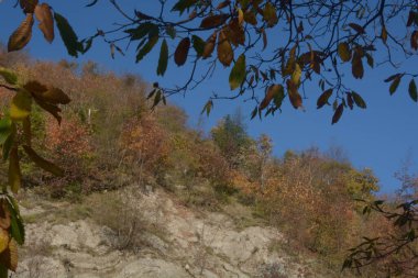 İtalya: Güney İtalya, Campania 'da sonbahar manzarası, 8 Kasım 2020.