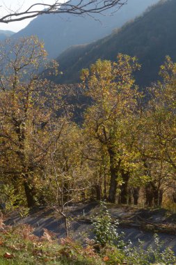 İtalya: Güney İtalya, Campania 'da sonbahar manzarası, 8 Kasım 2020.