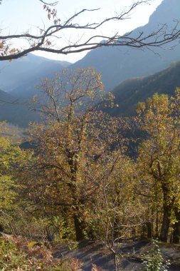 İtalya: Güney İtalya, Campania 'da sonbahar manzarası, 8 Kasım 2020.