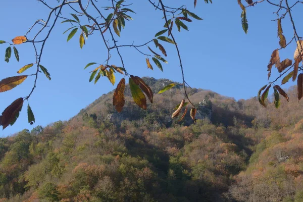 Italia Paesaggio Montano Autunnale Campania Italia Meridionale Novembre 2020 — Foto Stock