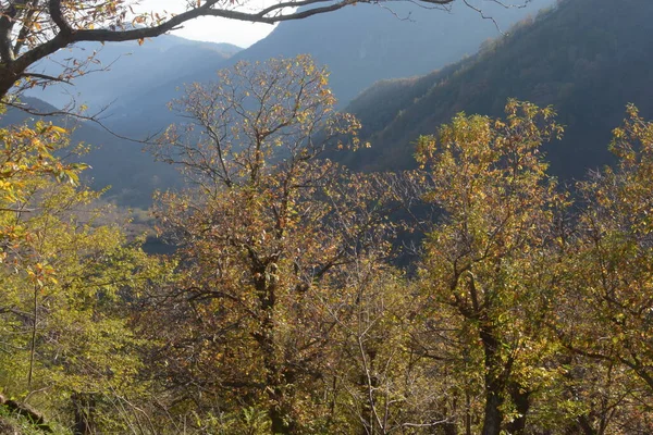意大利 意大利南部坎帕尼亚秋季山区景观 2020年11月8日 — 图库照片