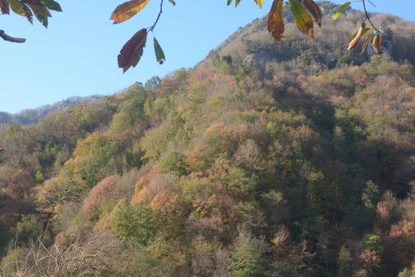 Talya Güney Talya Campania Sonbahar Manzarası Kasım 2020 — Stok fotoğraf