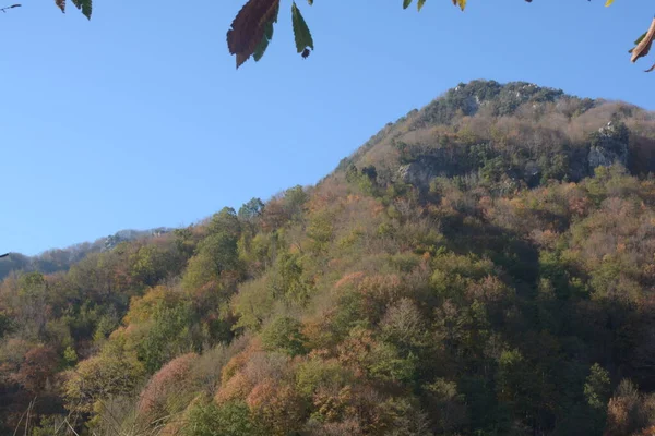 Ιταλία Φθινοπωρινό Ορεινό Τοπίο Στην Καμπανία Νότια Ιταλία Νοεμβρίου 2020 — Φωτογραφία Αρχείου