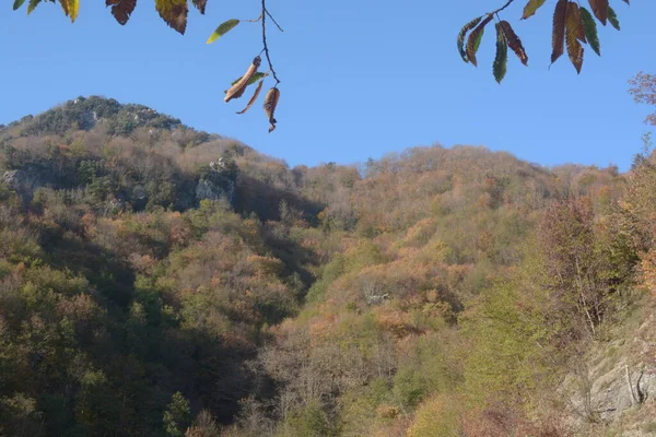 Italia Paisaje Otoño Campania Sur Italia Noviembre 2020 —  Fotos de Stock