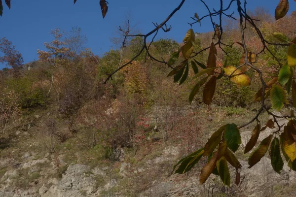 Italia Paisaje Otoño Campania Sur Italia Noviembre 2020 —  Fotos de Stock