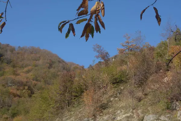 Talya Güney Talya Campania Sonbahar Manzarası Kasım 2020 — Stok fotoğraf