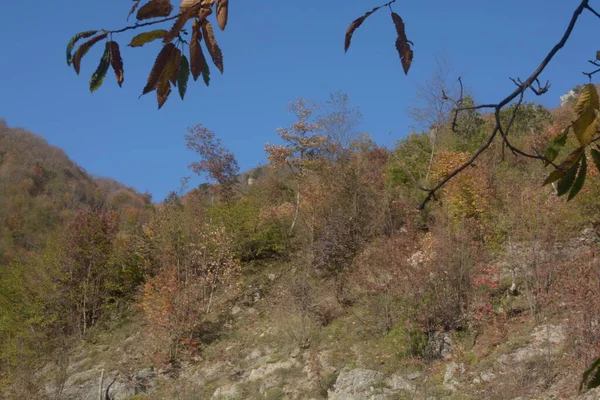 Italien Herbstliche Berglandschaft Kampanien Süditalien November 2020 — Stockfoto