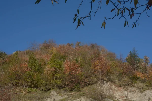 Italien Herbstliche Berglandschaft Kampanien Süditalien November 2020 — Stockfoto