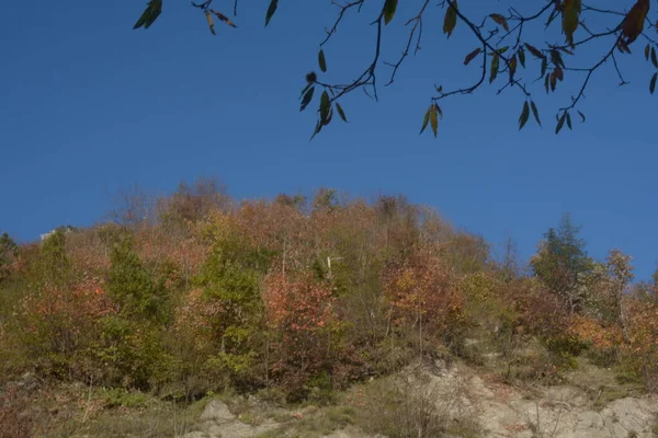 Italien Herbstliche Berglandschaft Kampanien Süditalien November 2020 — Stockfoto