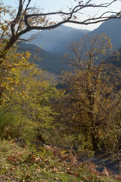 Italia Paisaje Otoño Campania Sur Italia Noviembre 2020 —  Fotos de Stock