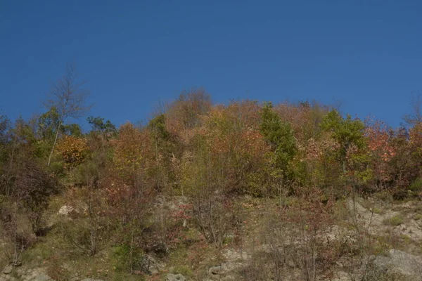 Italien Herbstliche Berglandschaft Kampanien Süditalien November 2020 — Stockfoto