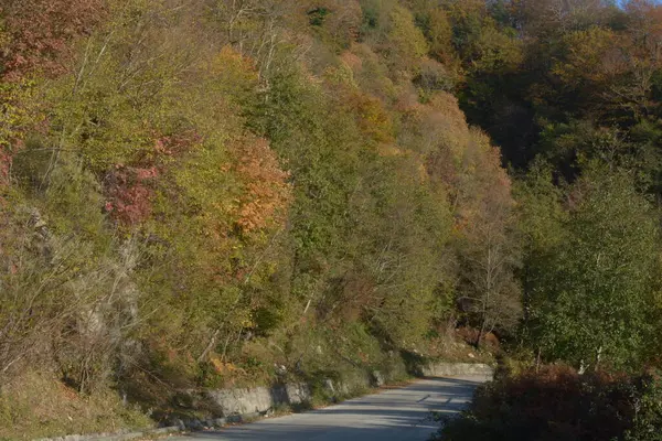 Italia Paisaje Otoño Campania Sur Italia Noviembre 2020 —  Fotos de Stock