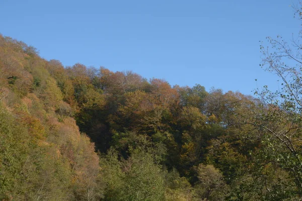 Italia Paisaje Otoño Campania Sur Italia Noviembre 2020 —  Fotos de Stock