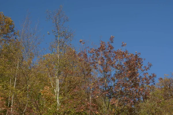 Italië Herfst Berglandschap Campanië Zuid Italië November 2020 — Stockfoto