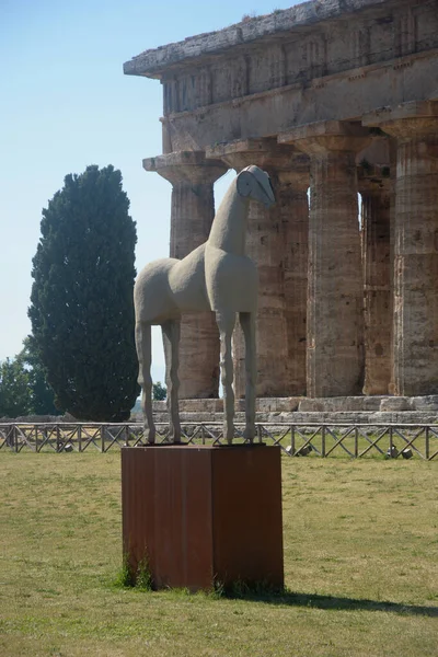 Italien Blick Auf Den Tempel Der Hera Paestum Juni 2021 — Stockfoto