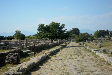 İtalya: Paestum Arkeolojik Alanı ve Harabeleri, 2 Haziran 2021.