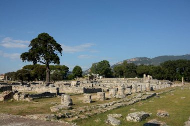 İtalya: Paestum Arkeolojik Alanı ve Harabeleri, 2 Haziran 2021.