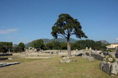 İtalya: Paestum Arkeolojik Alanı ve Harabeleri, 2 Haziran 2021.