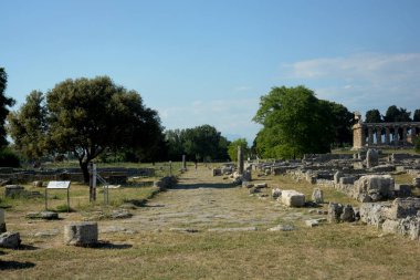 İtalya: Paestum Arkeolojik Alanı ve Harabeleri, 2 Haziran 2021.