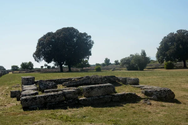 Ιταλία Άποψη Του Αρχαιολογικού Χώρου Και Των Ερειπίων Του Παέστου — Φωτογραφία Αρχείου