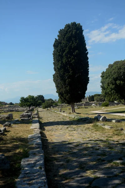 Italia Veduta Del Sito Archeologico Delle Rovine Paestum Giugno 2021 — Foto Stock