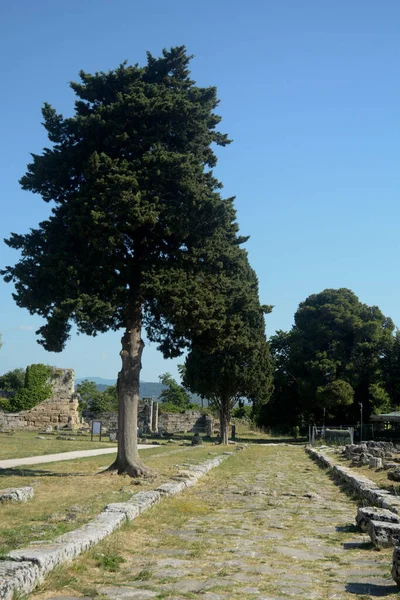 Italia Vista Del Sitio Arqueológico Ruinas Paestum Junio 2021 —  Fotos de Stock