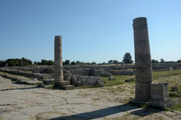 Italia Utsikt Det Arkeologiske Stedet Ruinene Paestum 2021 – stockfoto