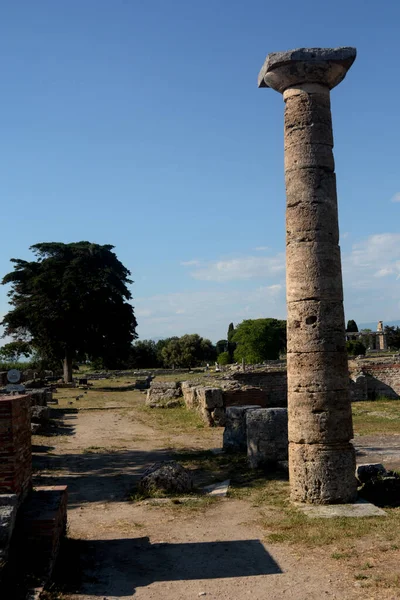 Italia Vista Del Sitio Arqueológico Ruinas Paestum Junio 2021 — Foto de Stock