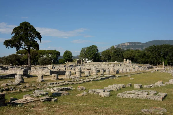 イタリア 2021年6月22日のペストゥム遺跡と遺跡の眺め — ストック写真