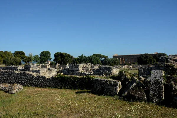 Italien Utsikt Över Den Arkeologiska Platsen Och Ruinerna Paestum Juni — Stockfoto