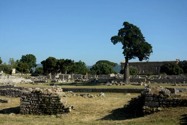Italy View Archaeological Site Ruins Paestum June 2021 — Stock Photo, Image