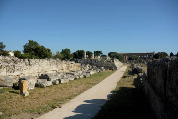 Italia Vista Del Sitio Arqueológico Ruinas Paestum Junio 2021 — Foto de Stock