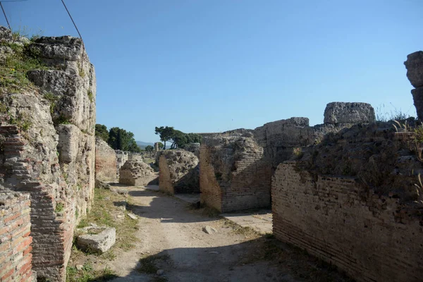 Olaszország Régészeti Lelőhely Paestum Romjai 2021 Június — Stock Fotó