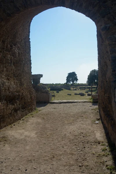 Ιταλία Άποψη Του Αρχαιολογικού Χώρου Και Των Ερειπίων Του Παέστου — Φωτογραφία Αρχείου