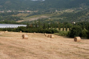 Güney İtalya, Campania 'daki saman balyalarının görüntüsü, 12 Haziran 2021.