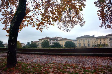 LUCCA, ITALY: Lucca, Tuscany, İtalya, 1 Kasım 2025.